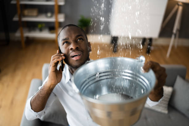Best Ceiling water damage repair  in Munsey Park, NY
