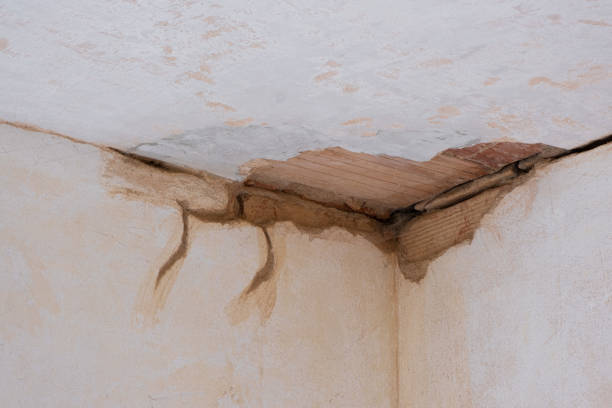 Reliable Munsey Park, NY Water damage restoration Solutions
