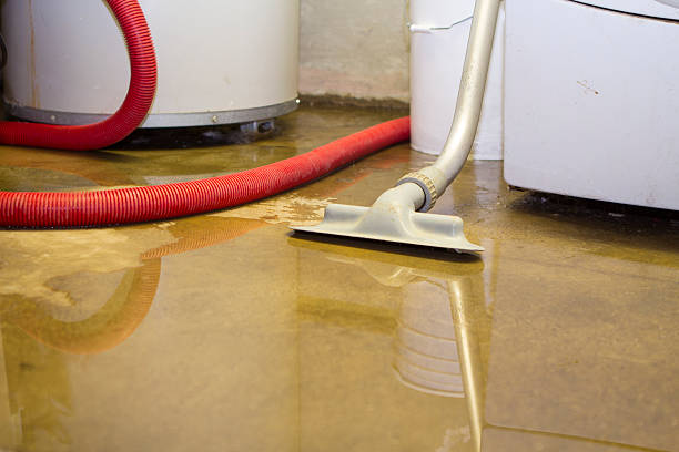 Best Residential water damage restoration  in Munsey Park, NY