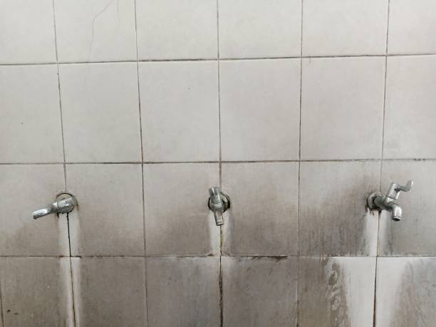 Best Flood damage cleanup  in Munsey Park, NY