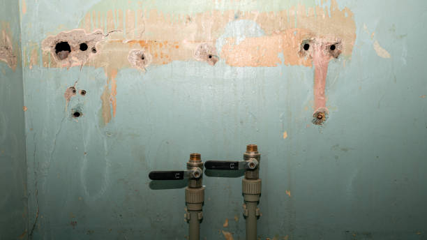 Best Fire Damage Restoration  in Munsey Park, NY