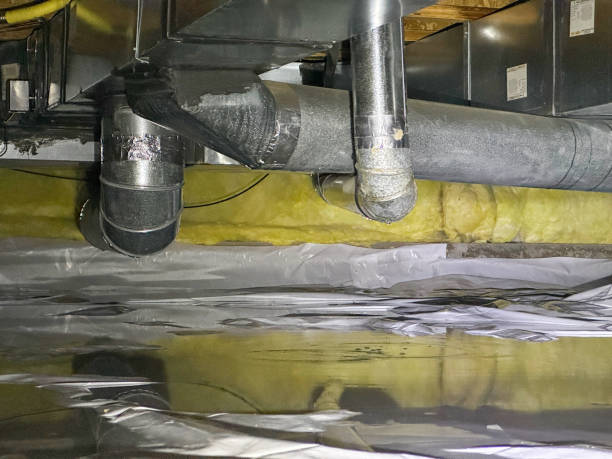 Best Flood restoration services  in Munsey Park, NY